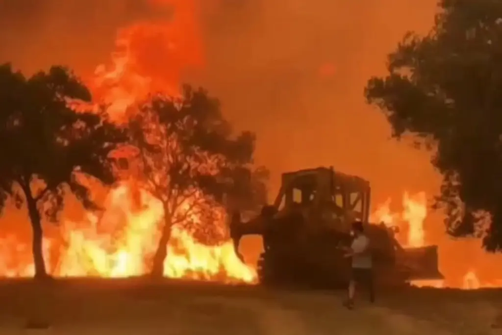 Imagen Más de 100 incendios forestales 'sin control' arrasan en Turquía (+Video)