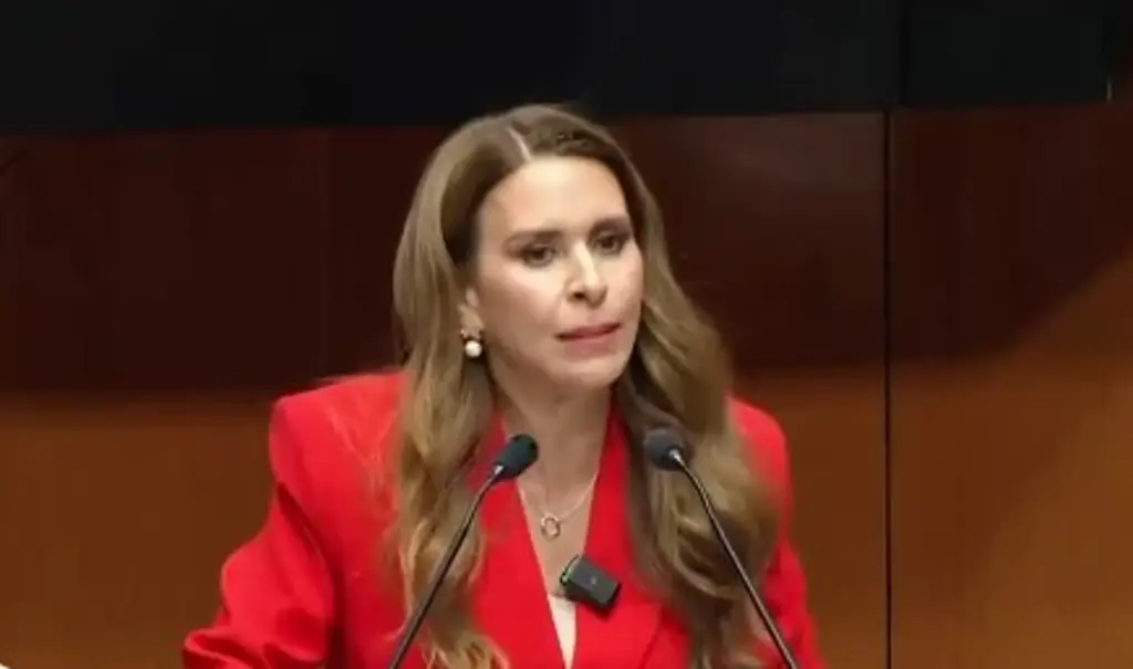Imagen Gobierno no debe ser árbitro de la conversación pública. No le gusta que lo critiquen: Carolina Viggiano