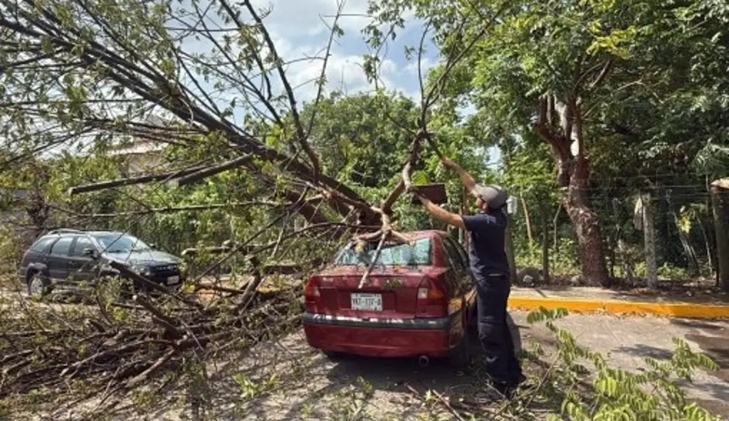 Imagen Tormenta sorprende a Poza Rica, Veracruz; estos fueron los daños