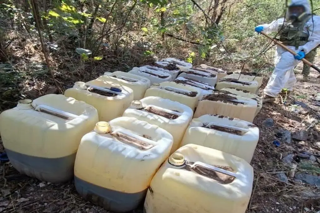 Imagen Aseguran narcolaboratorios y áreas de concentración de sustancias para drogas