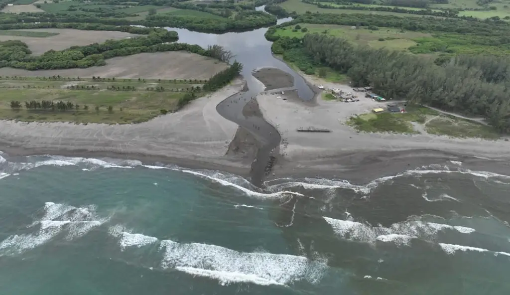 Imagen Revelan posible causa de muerte de peces en Veracruz