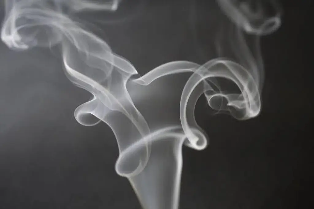 Imagen ¿Fumar cannabis también afecta a quienes están cerca? Esto revela un estudio