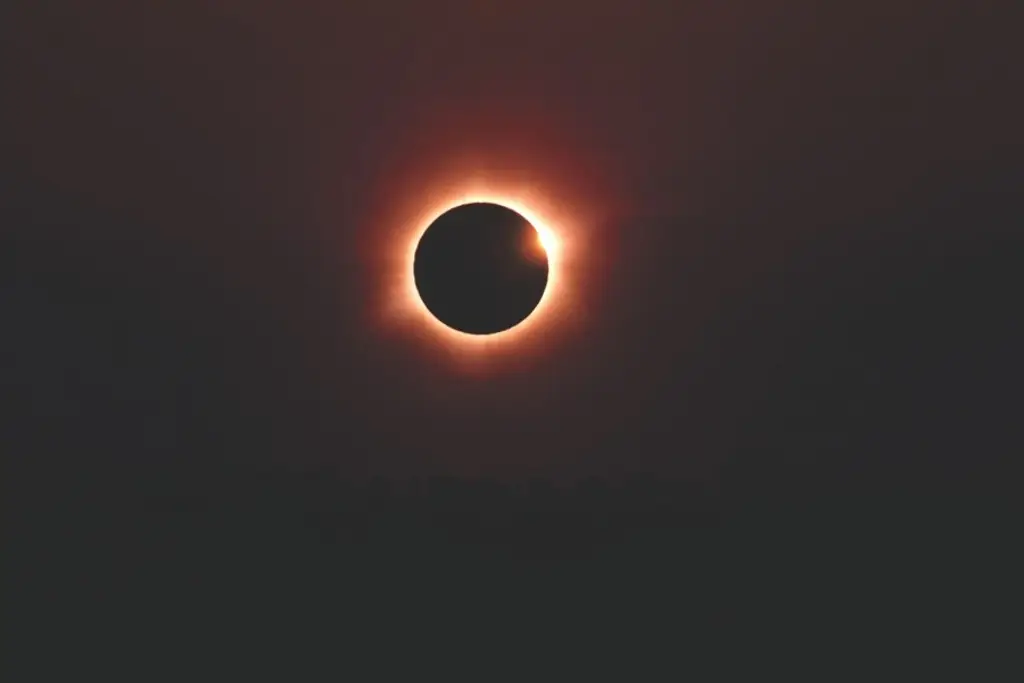 Imagen El Sol desapareció ante sus ojos: periodista narra la experiencia que jamás olvidará