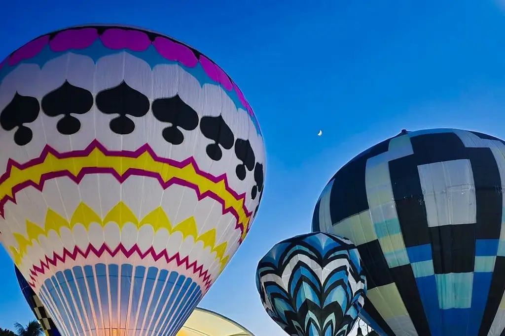 Imagen ¡Espectacular! Realizan Segunda Exhibición de Globos al sur de Veracruz 