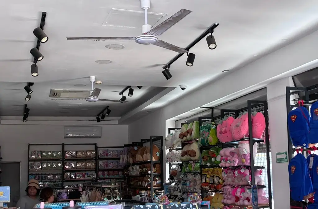 Imagen ¡Lleva 5 días a oscuras! Tienda del centro de Veracruz se queda sin luz y colapsan las ventas