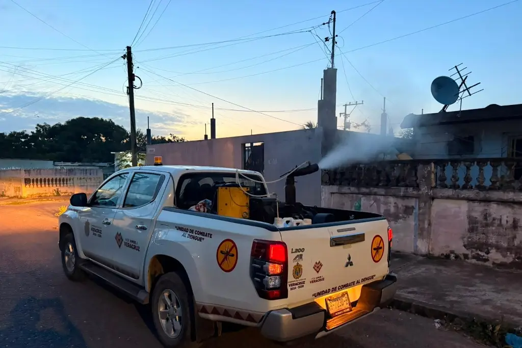 Imagen Siguen fumigaciones en Veracruz; Jurisdicción Sanitaria reporta descenso en casos de dengue