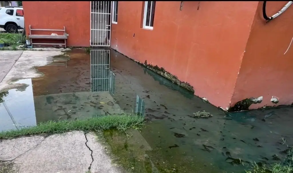 Boca del rio