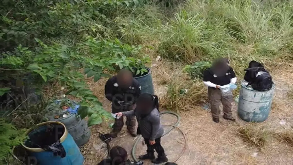 Imagen FGR encuentra más de mil litros de huachicol en Pánuco