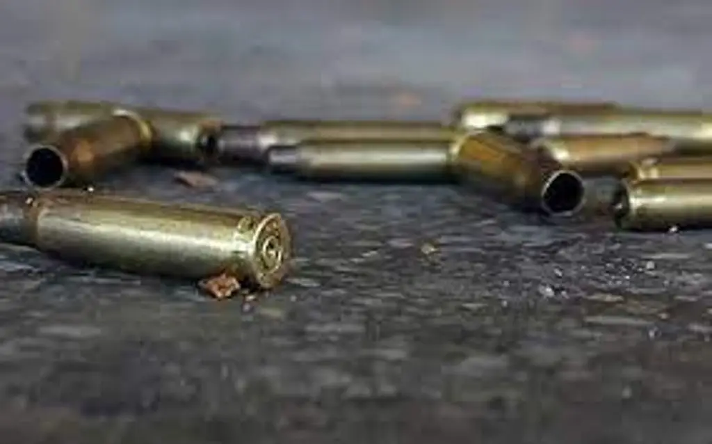 Imagen Atacan a balazos casa de coordinadora de policía municipal de San Luis Potos