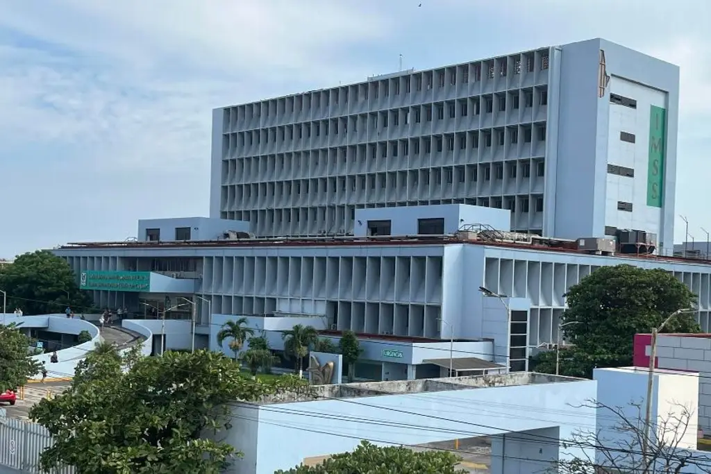 Imagen Muere pintor que se electrocutó en Boca del Río