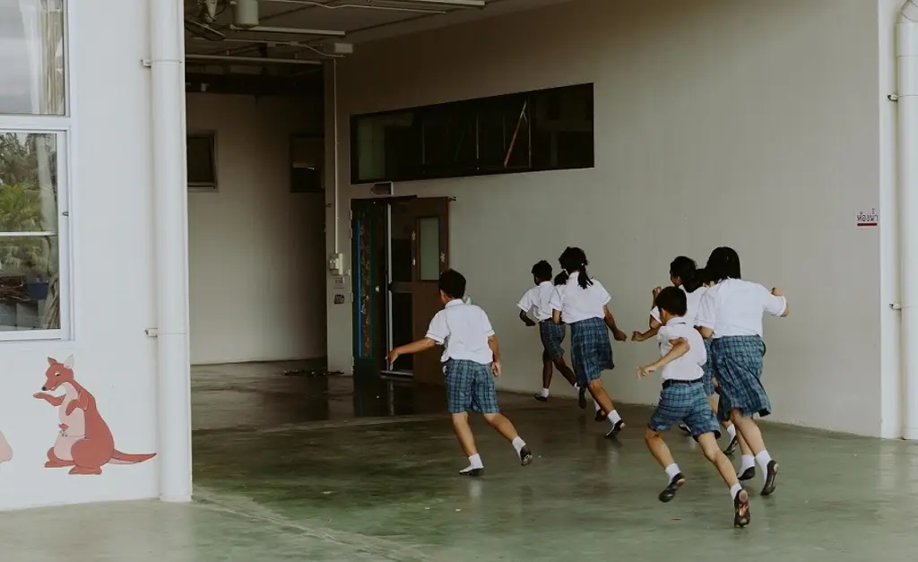 Imagen Regreso a clases: ¡Cuidado con las fotos que compartes! Esto alerta la SSP Veracruz