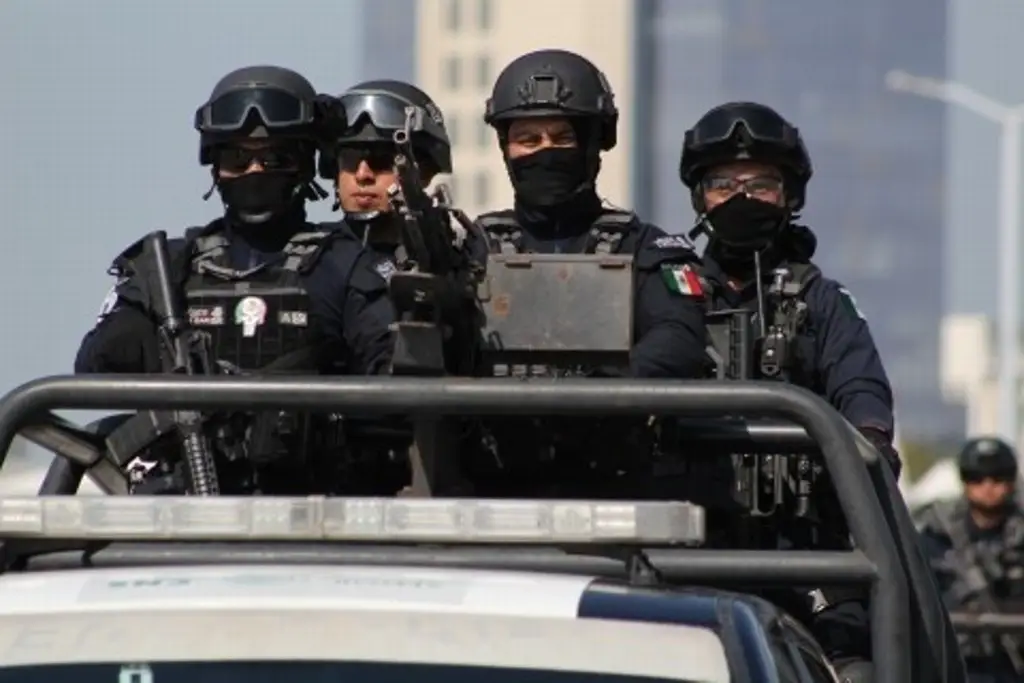 Imagen Realizan cateo en negocio de la zona Centro de Veracruz