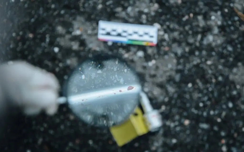 Imagen Veracruz cerró 2025 con 2 mil 552 cadáveres almacenados en forenses