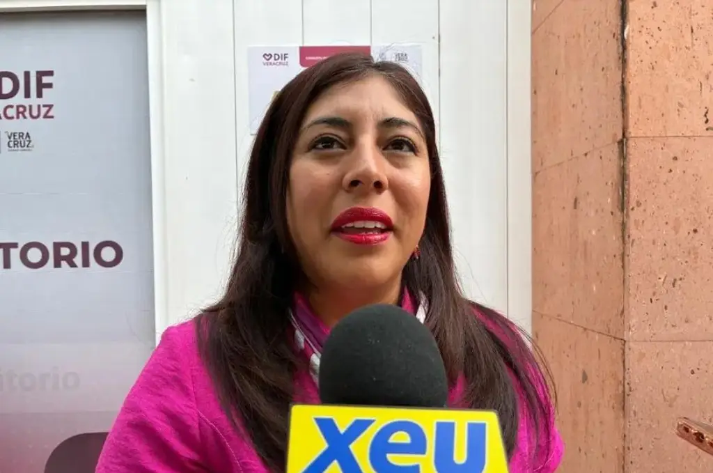 Imagen Lo que descubrió el DIF de Veracruz en Tejería encendió las alertas