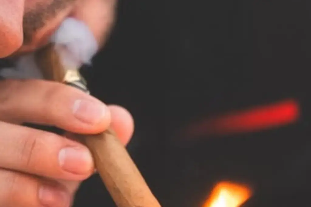 Imagen ¿Fumas cerca de tu mascota? Veterinario advierte daños por el humo del tabaco