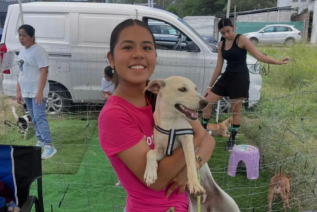 Imagen ¡Una huella puede cambiar una vida! Preparan evento para ayudar a perritos en adopción
