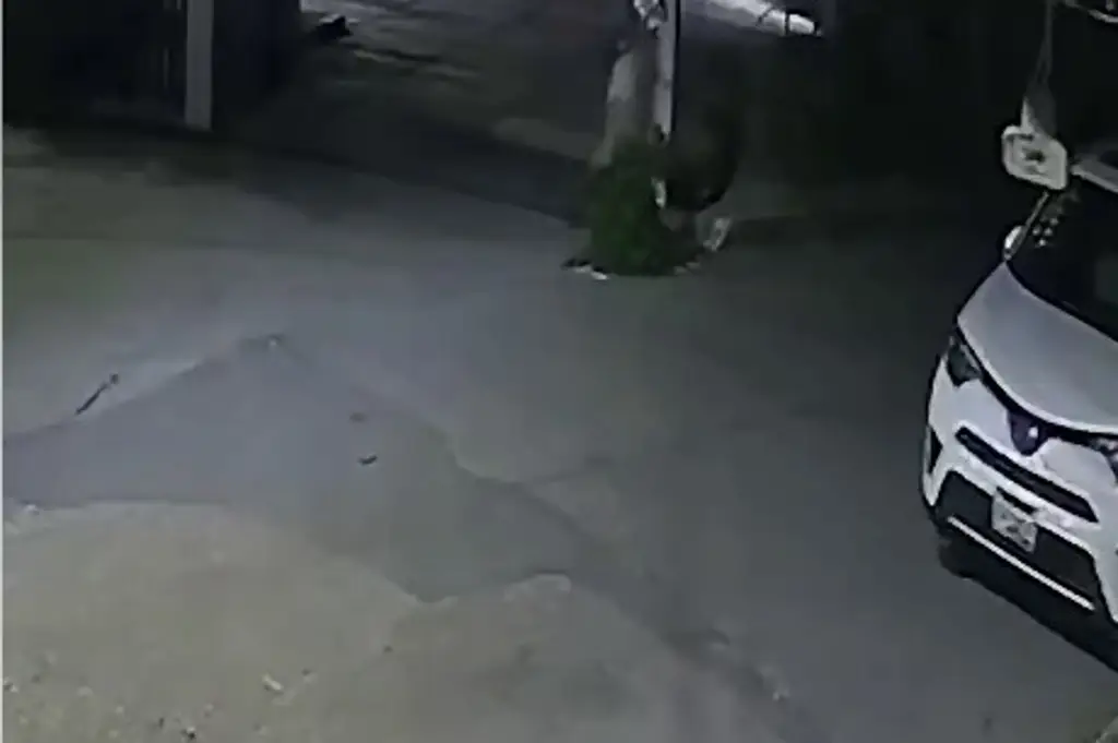 Imagen Difunden nuevas imágenes del asesino de estudiante española Claudia Tacoronte (+Video)