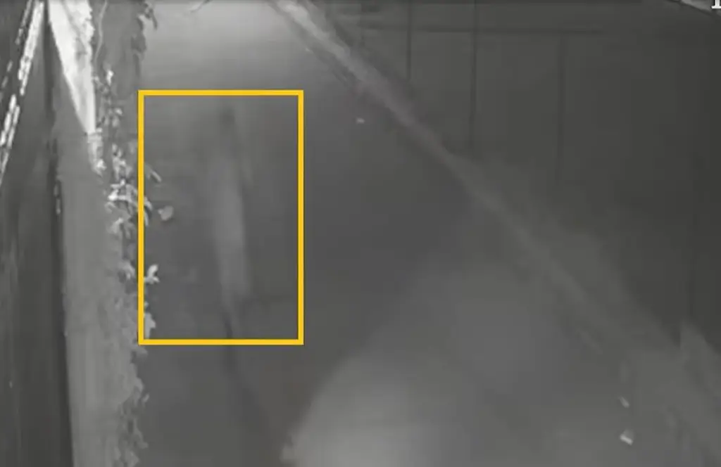 Imagen Identifican a presunto asesino de la estudiante española Claudia Tacoronte (VIDEO)