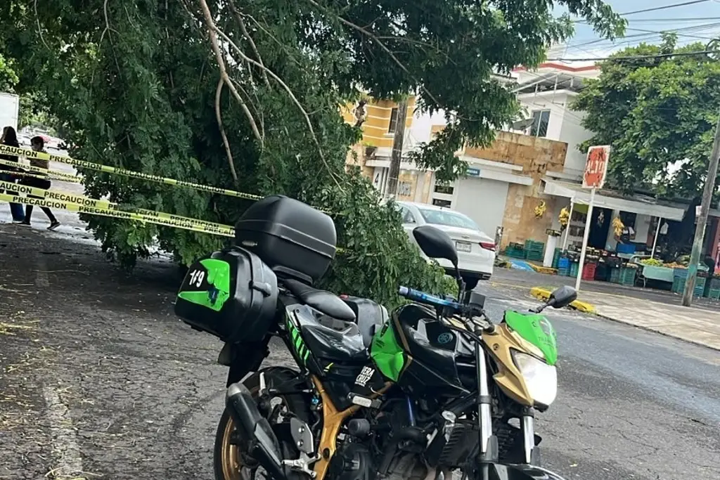 Veracruz