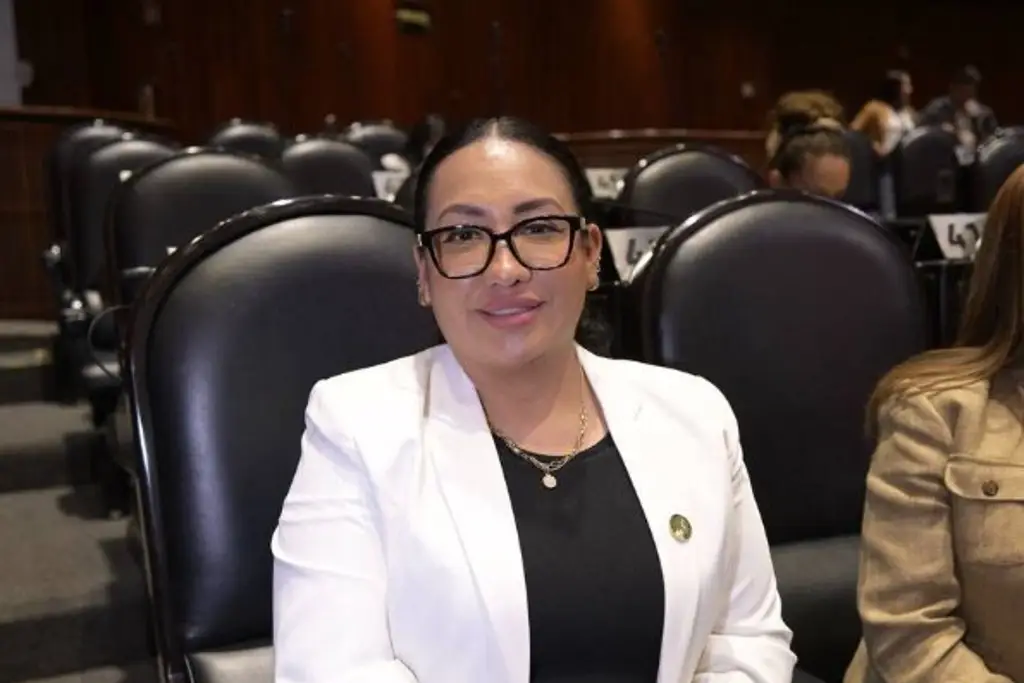 Imagen Muere a los 44 años Anay Beltrán Reyes, diputada federal de Morena