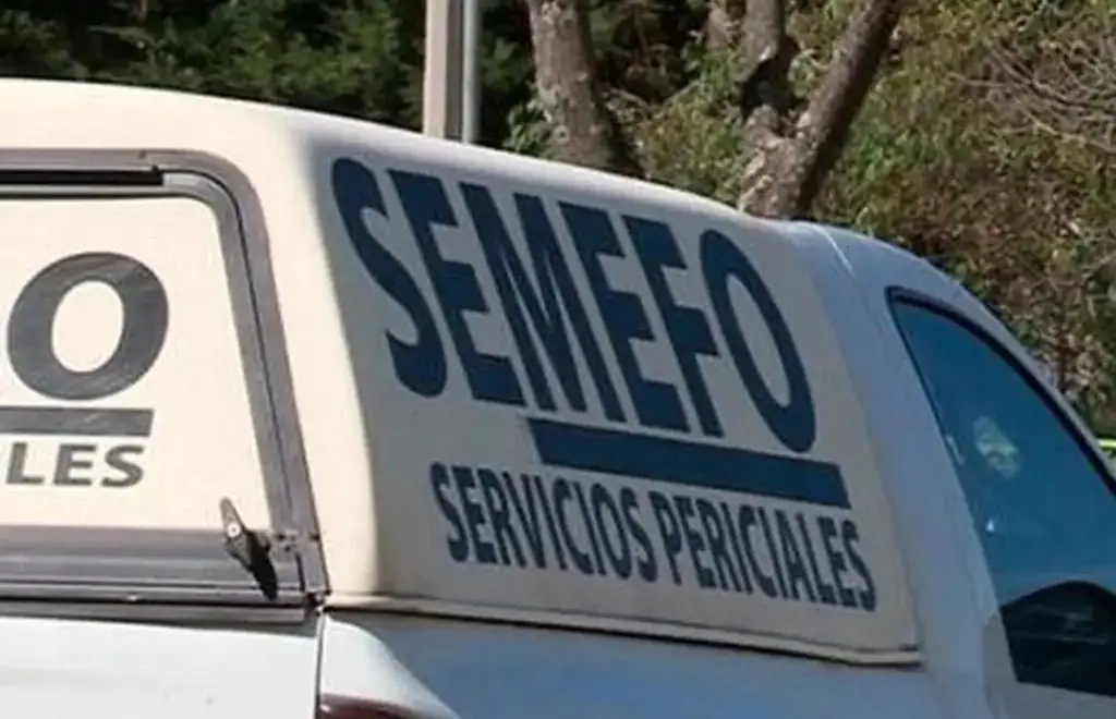 Imagen Hallan a hombre muerto en Arboledas San Ramón, ¿Qué pasó? 