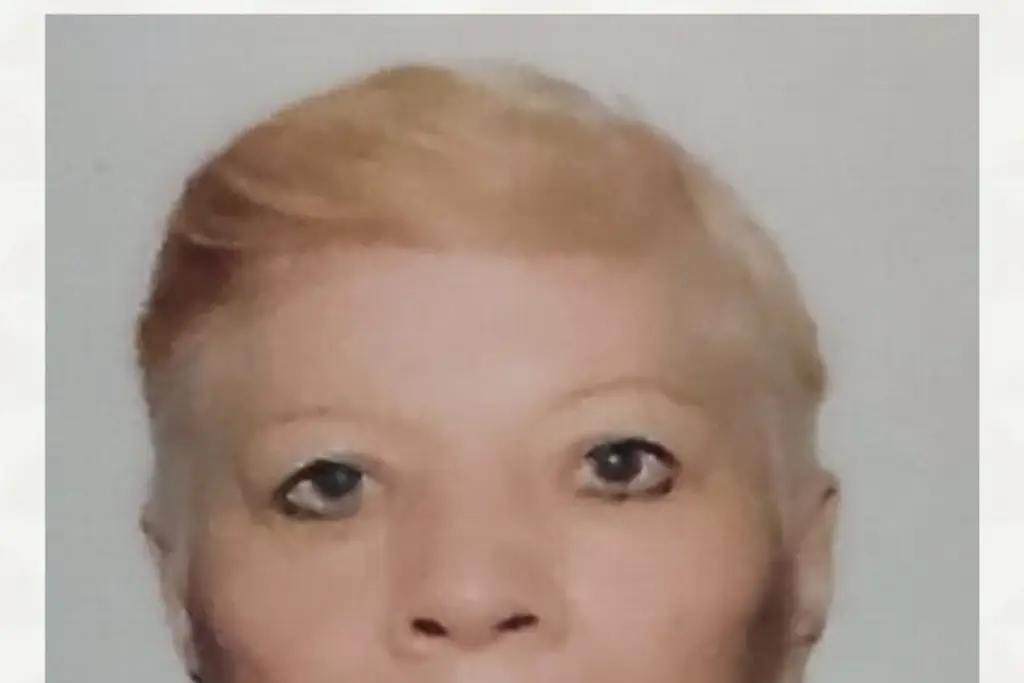 Imagen Buscan a mujer de 74 años desaparecida en Orizaba