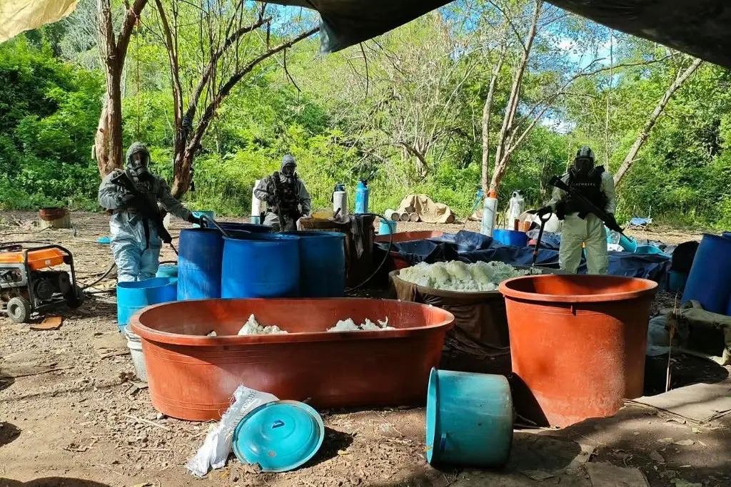 Imagen Desmantelan 4 narcolaboratorios en Michoacán y Guerrero; aseguran más de 10 toneladas de químicos