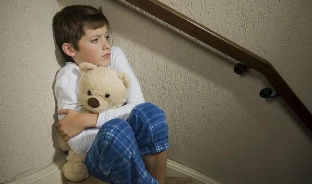 Imagen Ansiedad en niños: cuándo preocuparse y cómo ayudarlos