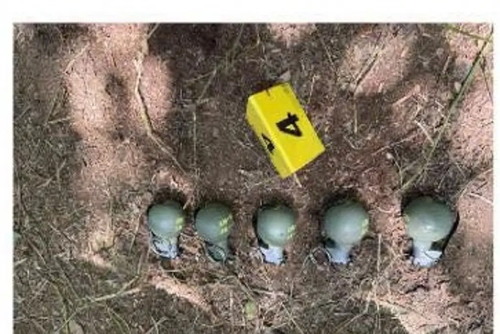 Policiaca