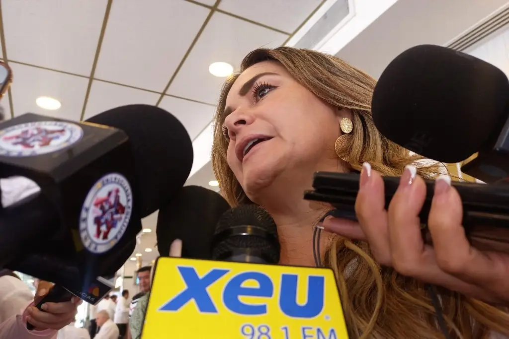 Imagen Boca del Río pone la lupa sobre negocios: más de 20 han sido clausurados por esta razones 