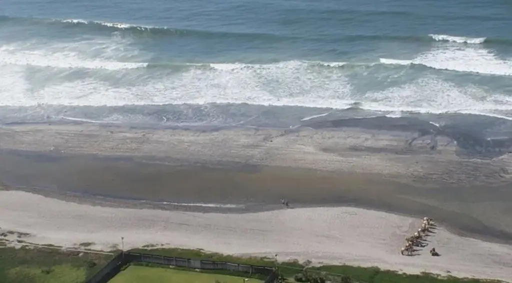 Imagen Construyen megaplanta para convertir agua de mar en potable