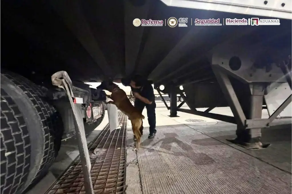 Imagen 'Chocolate' detecta 249 kilos de droga en tráiler