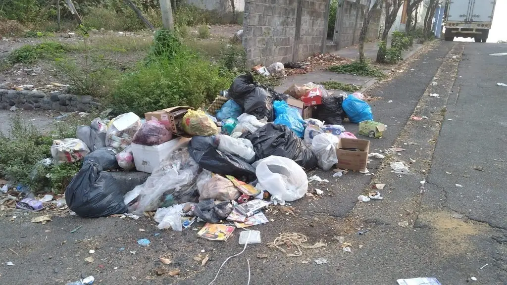 Imagen Multan a 30 personas por tirar basura en Veracruz; así puedes denunciar 