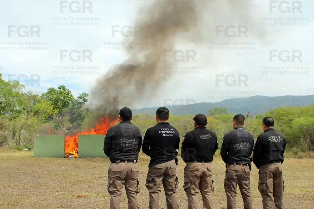 Imagen ¡Casi 800 kilos! FGR incinera marihuana, cocaína y otras drogas en Chiapas