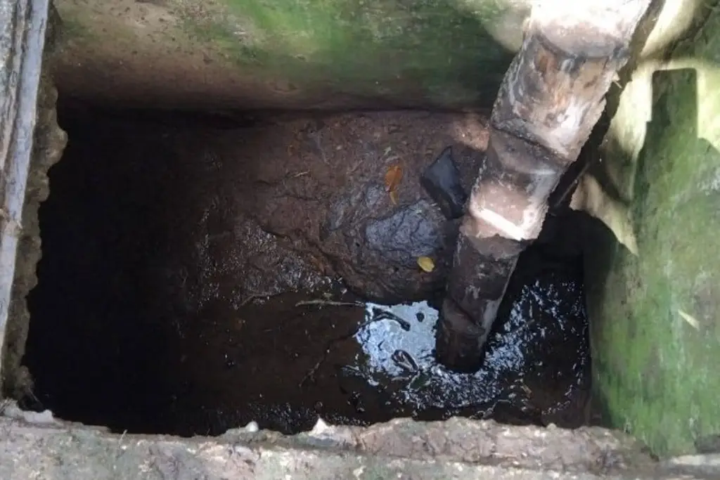 Imagen Limpiaron cisterna con excremento de murciélago y terminaron hospitalizados