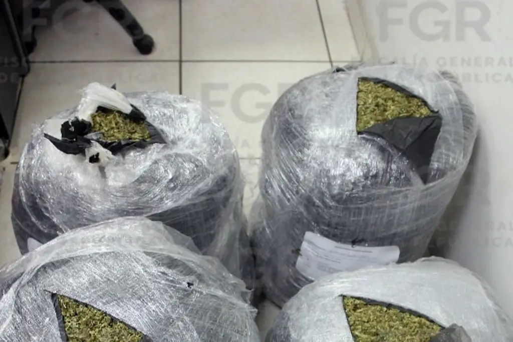 Imagen Armas, cartuchos y kilos de marihuana: así fue el operativo en Sinaloa