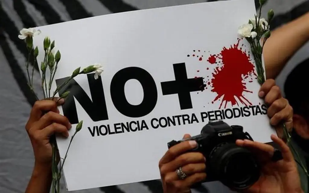 Imagen Nueve periodistas viven bajo protección en Veracruz; algunos requieren escoltas: CEAPP