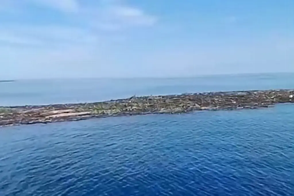 Imagen Video: Mega palizada de 5 kilómetros amenaza arrecifes de Veracruz