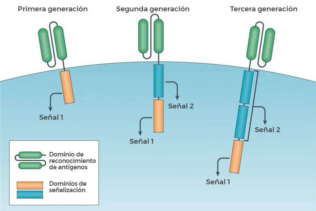 Imagen Autorizan en México primer ensayo clínico con terapia CAR-T nacional