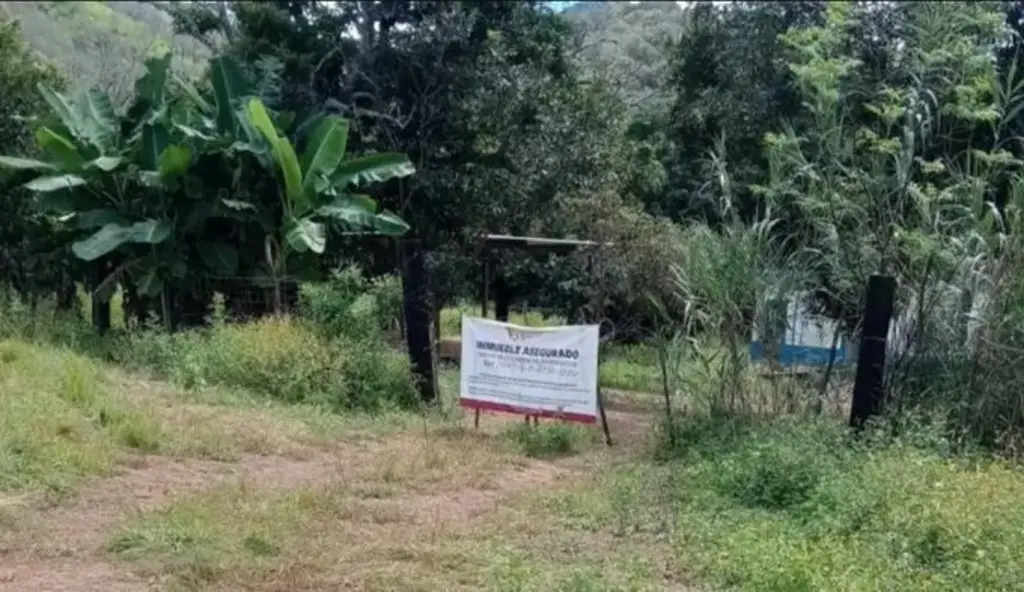 Imagen Esto se sabe del presunto centro de exterminio en predio de Nayarit