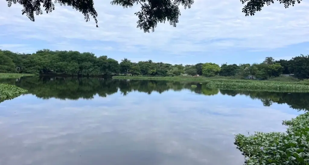 Imagen Piden no tirar basura en las lagunas La Ilusión y El Ensueño; ¿por qué es importante cuidarlas?