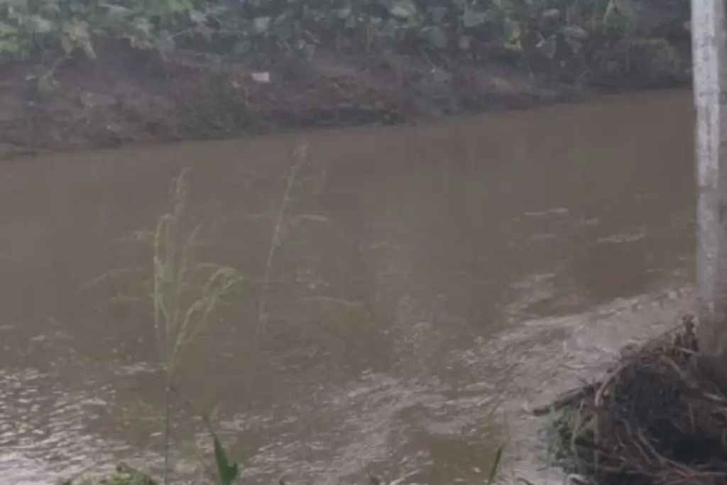 Imagen Así se encuentra el nivel del río Jamapa ¿representa peligro?