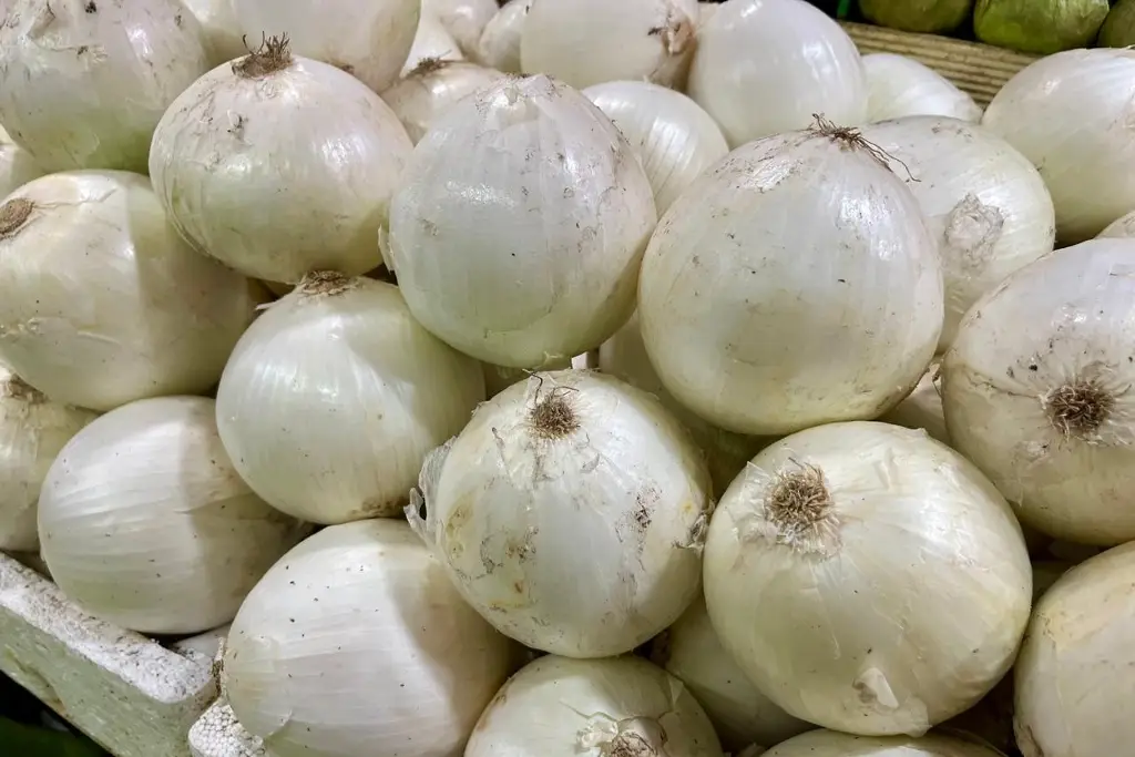 Imagen ¿Se dispararon los precios de las verduras en Veracruz? Esto dicen comerciantes
