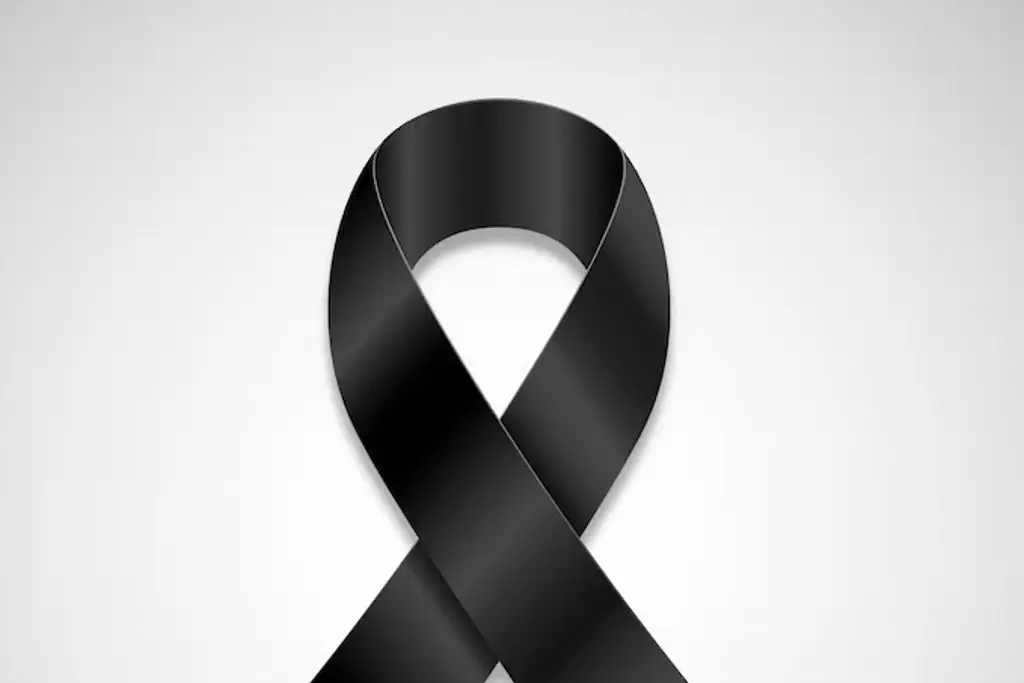 Imagen Fallece Elisa Galván Aragón, reconocida pintora y exdirectora de Artes Plásticas en Veracruz