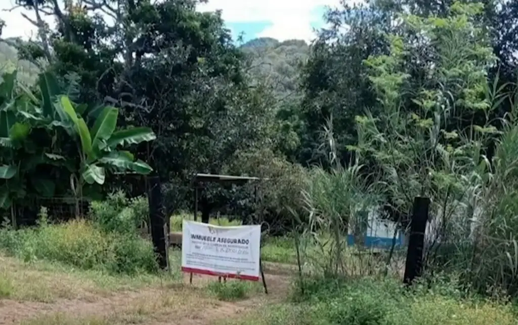 Imagen Testigo detalla modus operandi del crimen en campo de exterminio de Nayarit: Fiscal