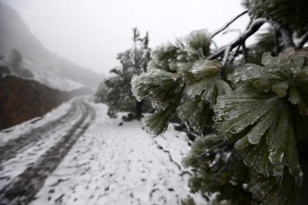 Imagen ¿Habrá “blanca Navidad” en Veracruz por El Niño?