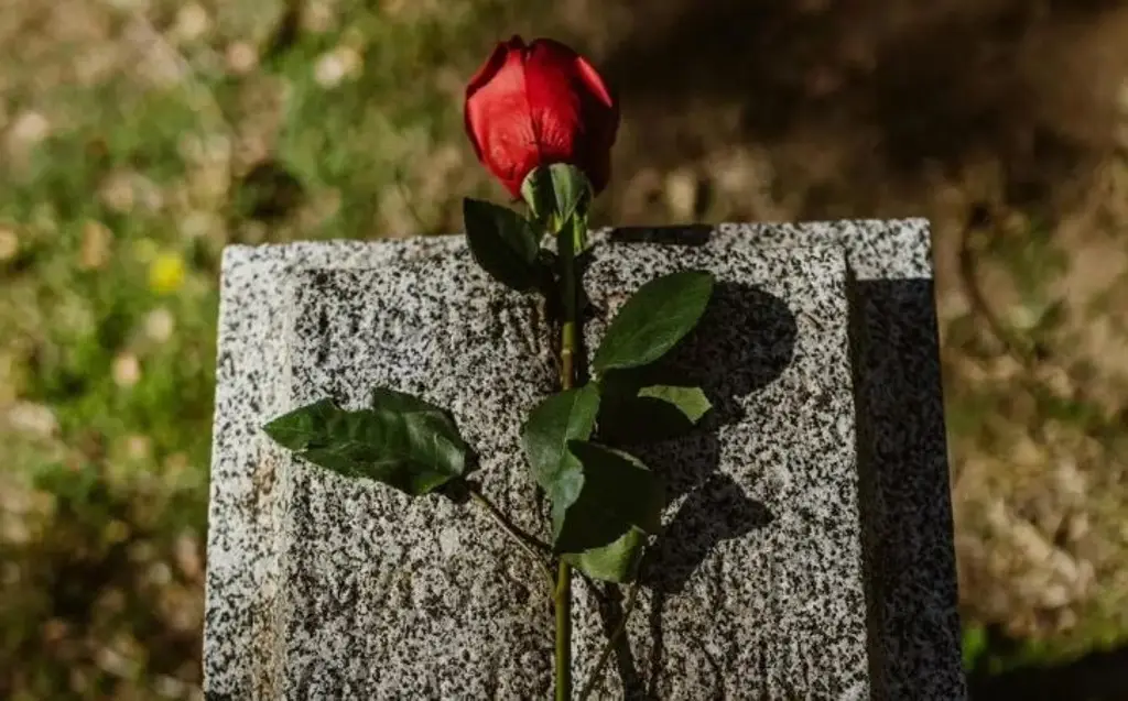 Imagen Cómo sanar el duelo: consejos de un psicólogo veracruzano