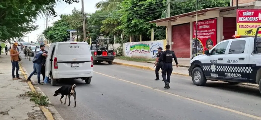 Imagen Hallan a hombre sin vida en tienda de pirotecnia clausurada de Álamo