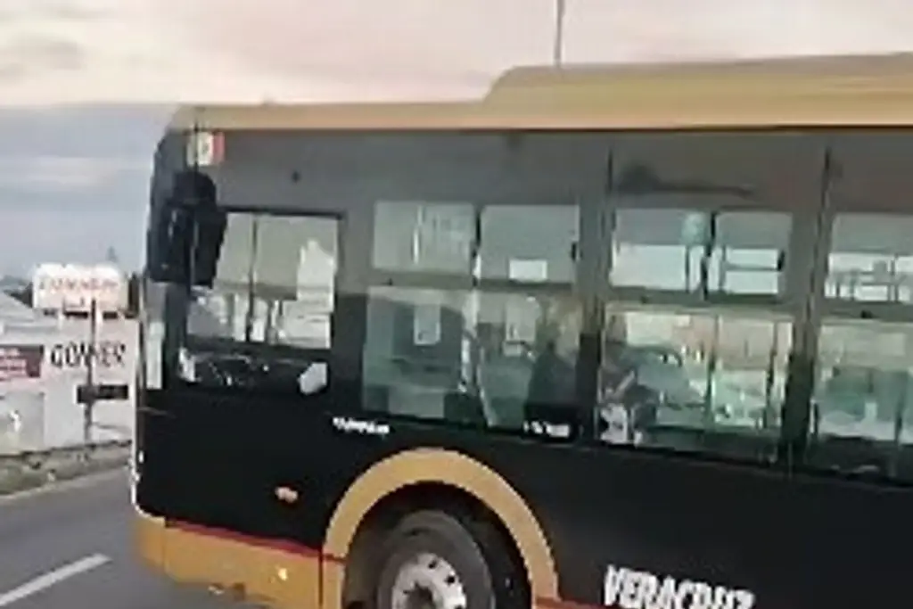 Imagen Exhiben a Ulúa en el paro de transportistas en Veracruz: 'Ni la IA puede con esto ¡Chulada!' (+Video)