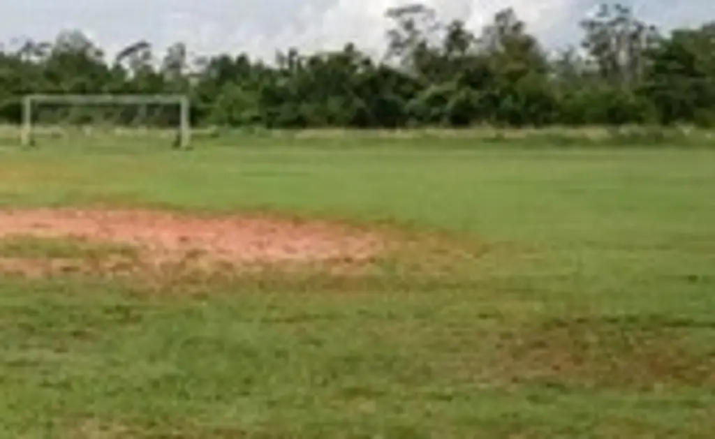 Imagen Queman un cuerpo en canchas de futbol
